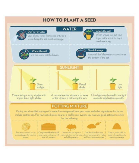 five veg combo (tomato,chiili,carrot,spinach,lady finger) 15 -15 seeds of each 1 oal 75 seeds combo with manual