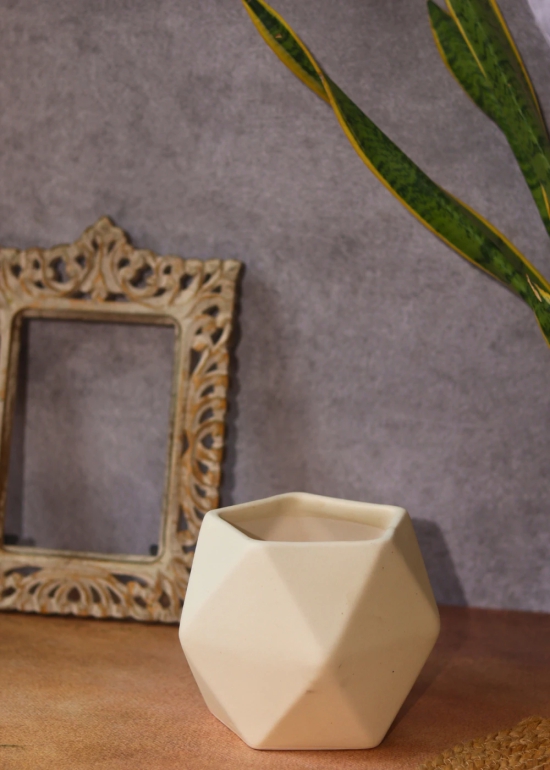 White Hexagon Planter