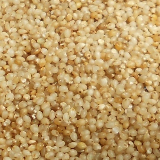 Vattam Barnyard Millet, 500 Gm