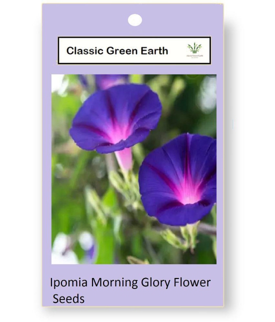 CLASSIC GREEN EARTH - Ipomoea Flower ( 17 Seeds )