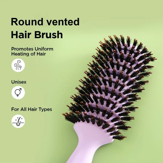 Kuber Industries Hair Brush, Flexible Bristles, Quick Drying, Suitable for All Hair Types, Round Vented, 3 Piece, Purple.-Kuber Industries Hair Brush, Flexible Bristles, Paddle, Quick Drying, All