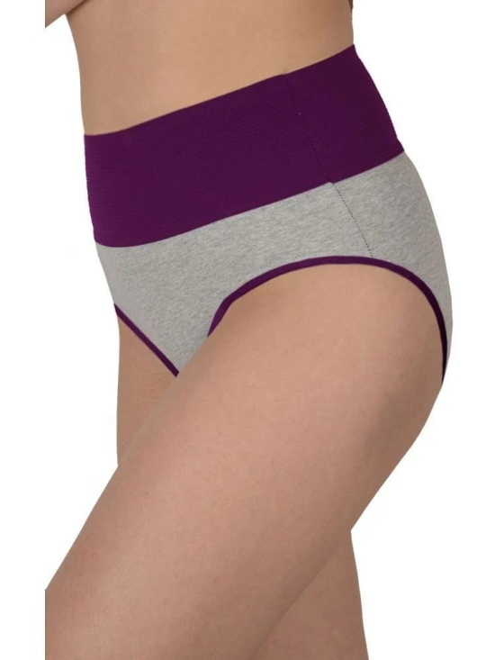 Madam Purple PANTY Nylon Solid Womens Hipster ( Pack of 1 ) - None