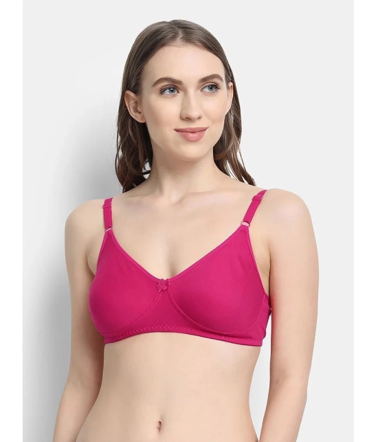 VStar - Magenta Cotton Blend Non Padded Womens T-Shirt Bra ( Pack of 1 ) - None