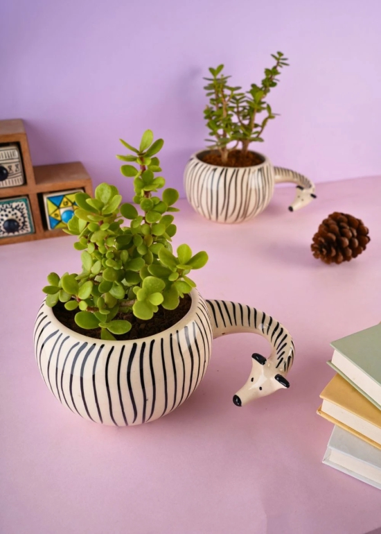 Zebra Planter