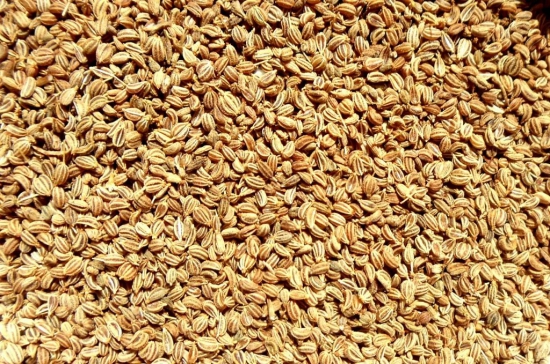 Vattam Ajwain - Whole, 500 Gm