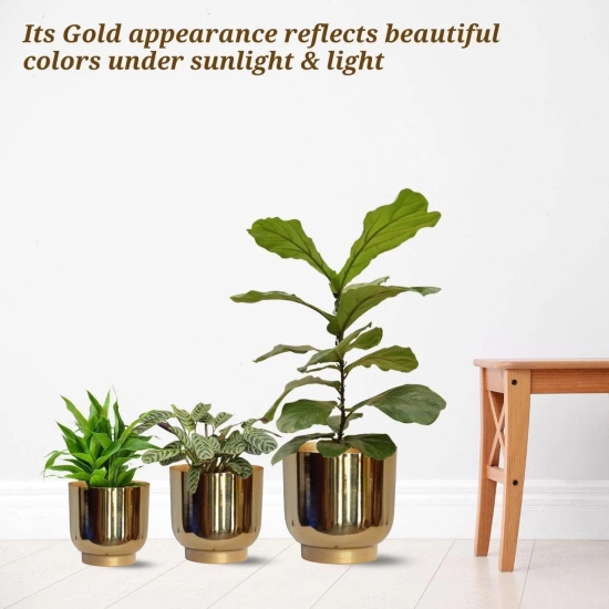 ecofynd 3 Pack Eva Metal Plant Pots (8 inch, 9 inch, 10 inch) | Indoor Planter Flower Pots with Drainage Hole | Home Garden Decor Planter  (Gold Finish)