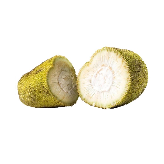 Baby Raw Jackfruit 1 Pc