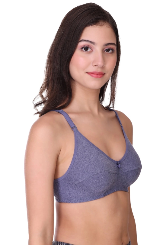 SONA Womens All Day Full Coverage Non Padded Cotton Bra-34 / B / PINK