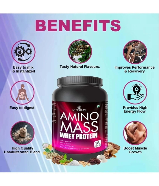 Nutriley Amino mass Whey Protein ( 500 gm , Vanilla - Flavour )