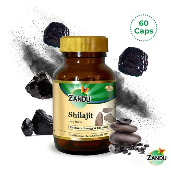 Shilajit (60 Caps)