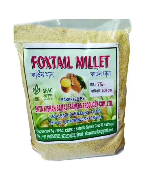 FOXTAIL MILLET (PACK OF 2)