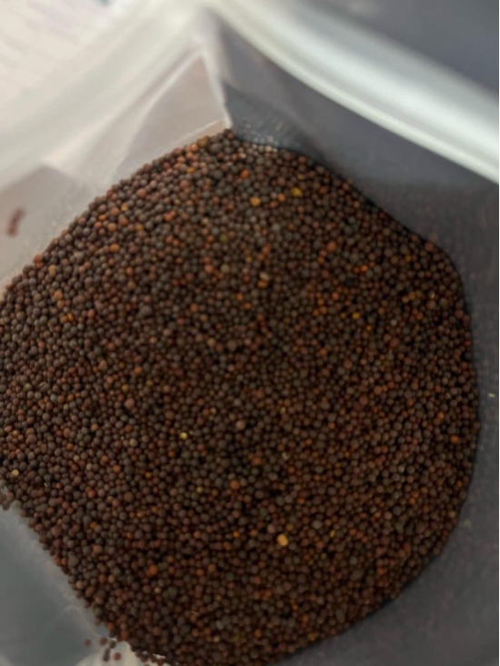 Mustard Seed(1kg)