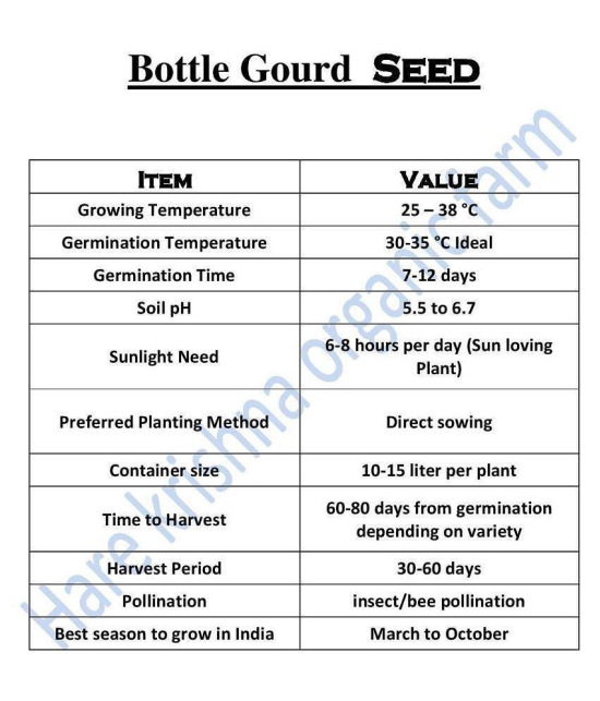 BOTTLE GOURD LONG SEEDS (PACK OF 15 SEEDS X 1 PACKET)