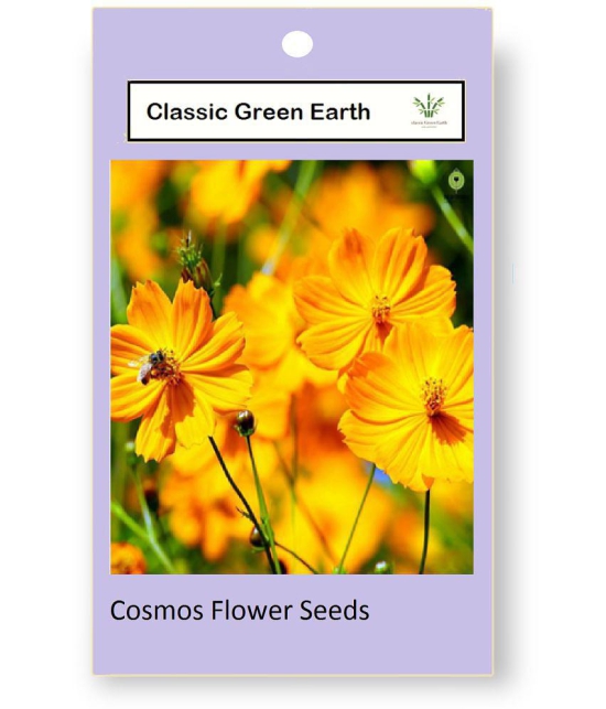 CLASSIC GREEN EARTH - Cosmos Flower ( 25 Seeds )