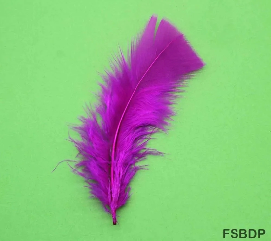 Feather Soft Big D Pink (Fsbdp) (10Pcs)  (Pack of 6)