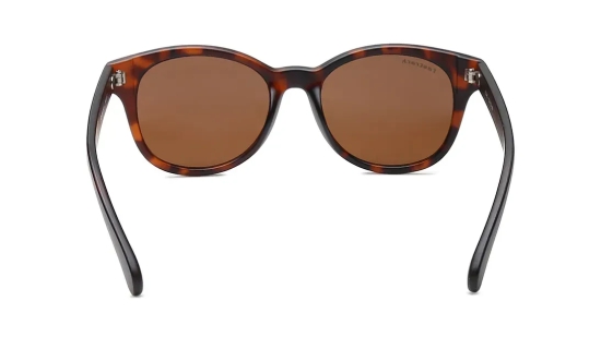 Brown Square Sunglasses for Men