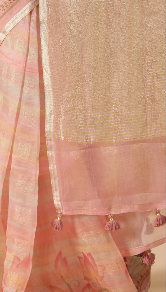 Organza Saree