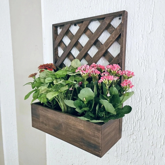 Wall Mounted Planter - Single Square