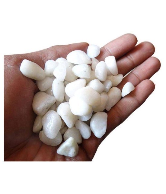 Foodie Puppies White Pebbles Glossy Stones For Home Decorative, Vase Fillers, Aquarium Fish Tank,Garden (Polished 450 g) Aquarium Tool