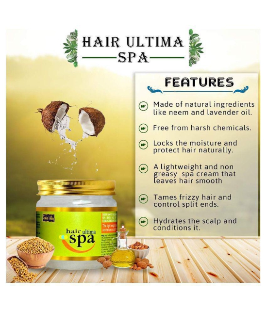 Indus Valley Deep Nourishing Hair Ultima Spa - 400 ml