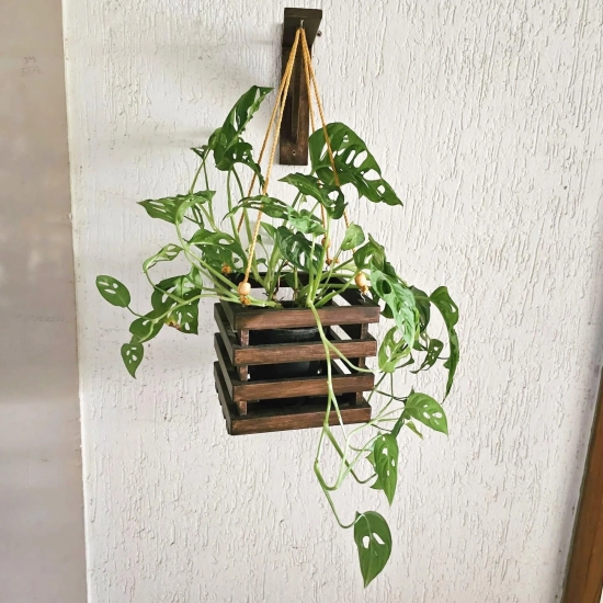 Wall Mounted Planter - Square Hanging