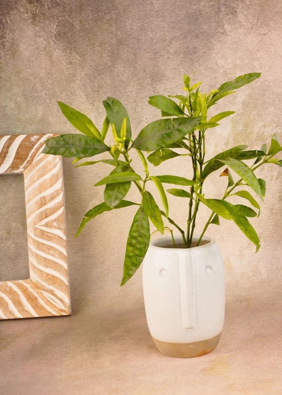 Quirky Face Planter Pot