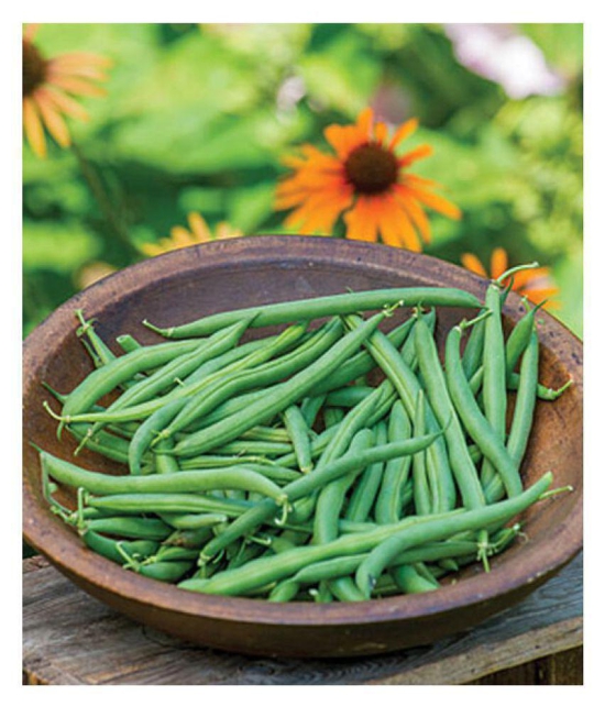 Jubilant Guar Beans Seeds (50+ Seeds)