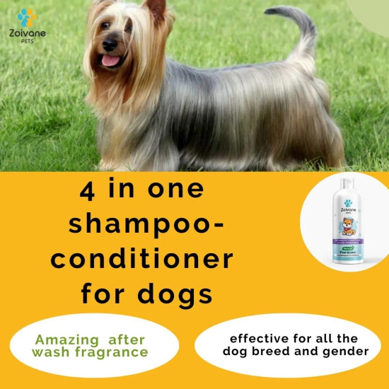 4 IN 1 DOG SHAMPOO AND CONDITIONER-5 litre