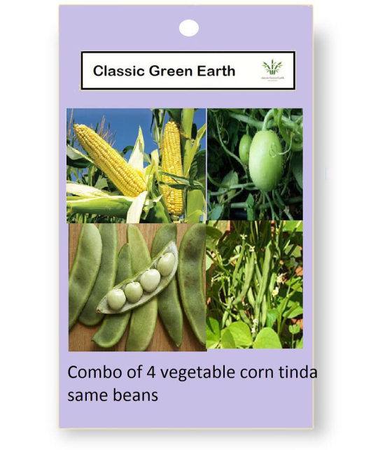 CLASSIC GREEN EARTH - Corn Vegetable ( 200 Seeds )