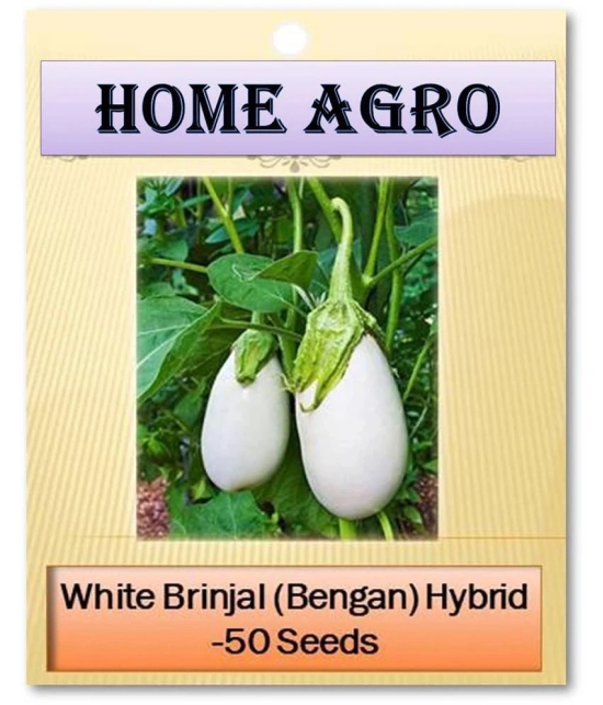 HN organic seed - Vegetable Seeds ( 50 )