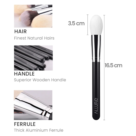 Allure Professional Makeup Brush (Tapered Face - 108)