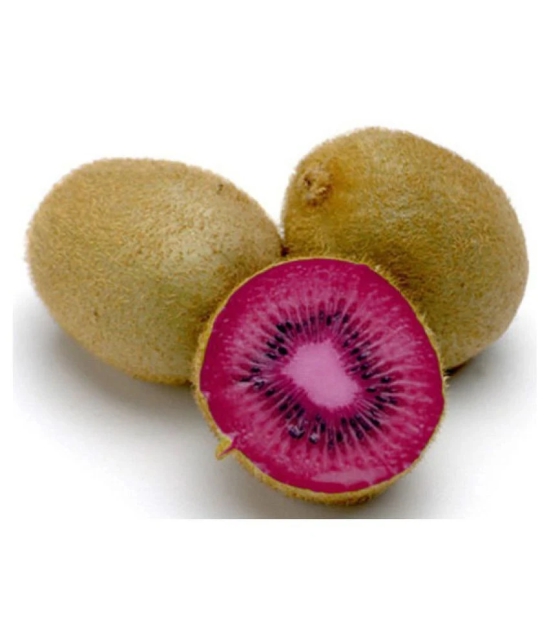 V Square Retail Kiwi Fruit Seeds