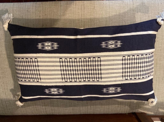 Nagaland Cushions (Rectangular): Each-14