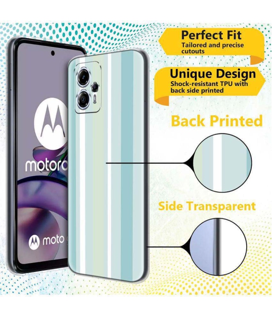 Fashionury Multicolor Printed Back Cover Silicon Compatible For Moto G13 ( Pack of 1 )