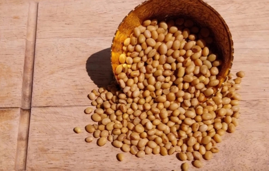 Organic Soyabean