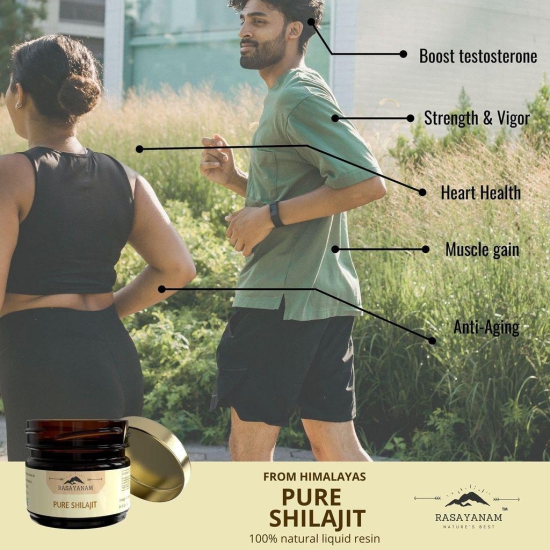 Rasayanam Pure Himalayan Shilajit/Shilajeet Resin | From Gilgit Mountains | Tested for Safety - (Pack of 3; 20g each)