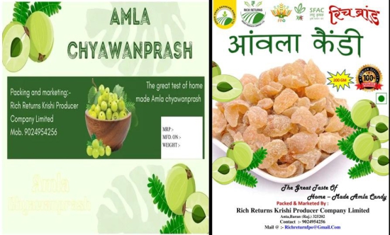 Amla Chawanprash & Amla Candy 1250Gm