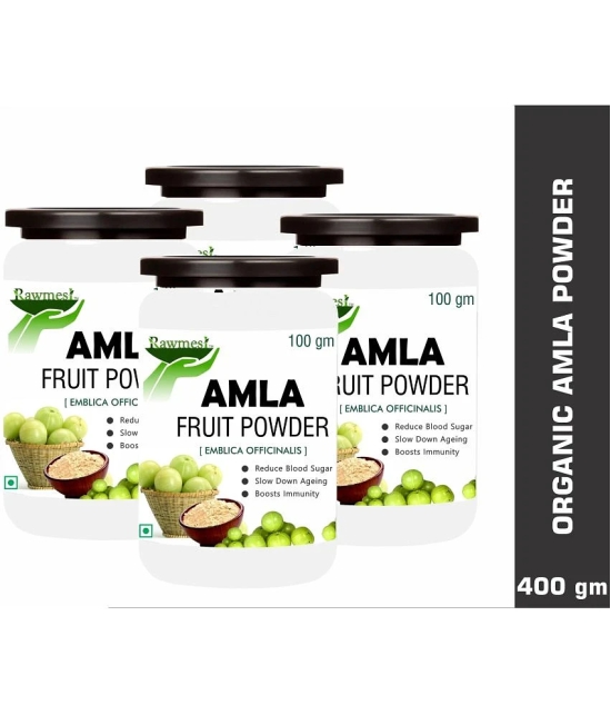 rawmest Amla Fruit Powder 100 gm Pack Of 4