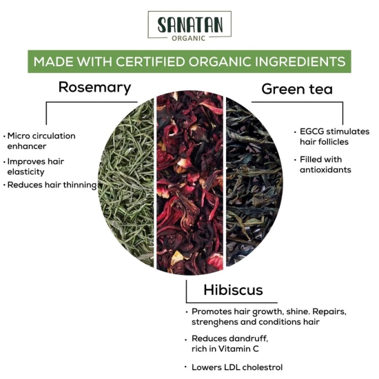 Sanatan Organic Hibiscus Rosemary Haiir Love Green Tea- 20 sachets