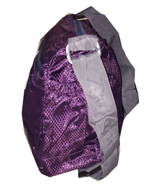 Apnav Purple Polyester Casual Messenger Bag