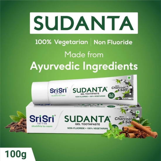 Sri Sri Tattva Sudanta Gel Toothpaste - With Charcoal & Salt. SLS Free. Non - Fluoride - 100% Vegetarian, 100g