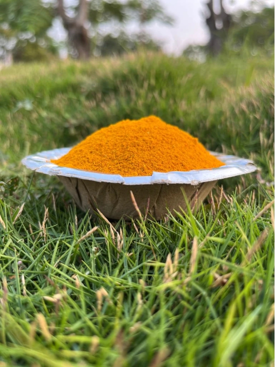 Organic Turmeric Powder - Grown Without Synthetic Pesticides - 100% Natural Taste and Color - Gluten Free - Antioxidant - Immunity Booster