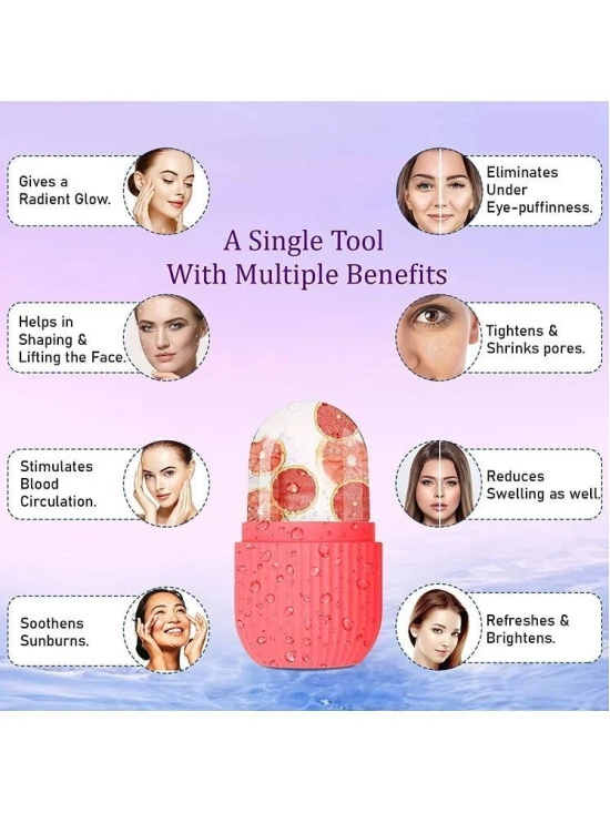 dust n shine face massager