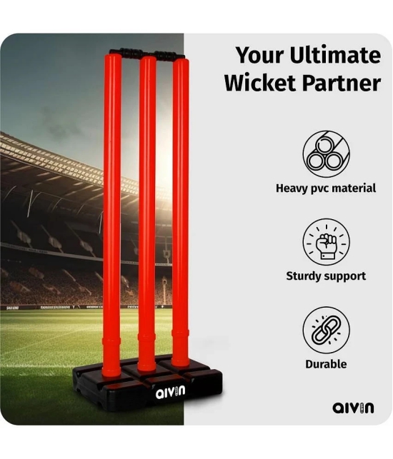 Aivin Stumps & Bails ( Pack of 2 )