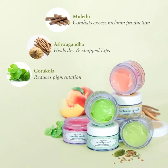 Herb Enriched Lip Mask 15 g peach_mask