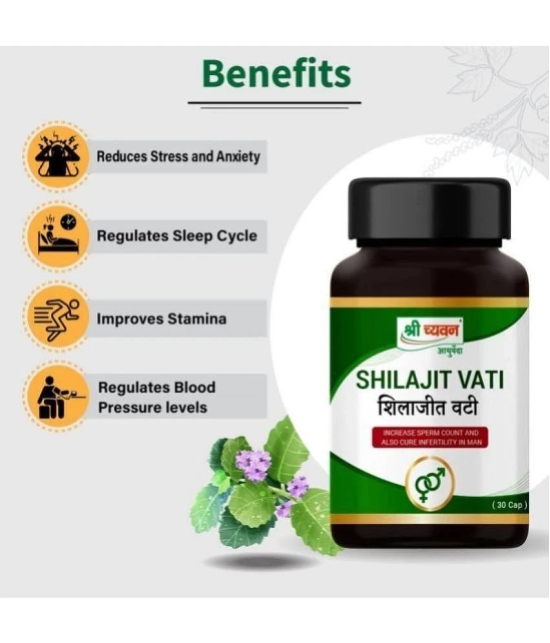 Shilajit & Chandraprabha Vati  ( Combo Pack )