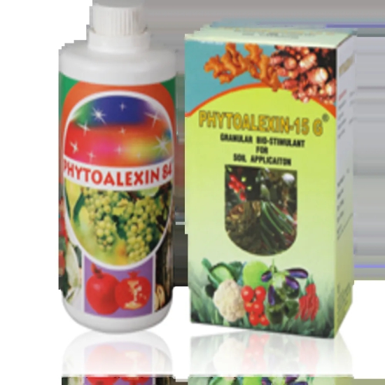 Phytoalexin-1 LTR