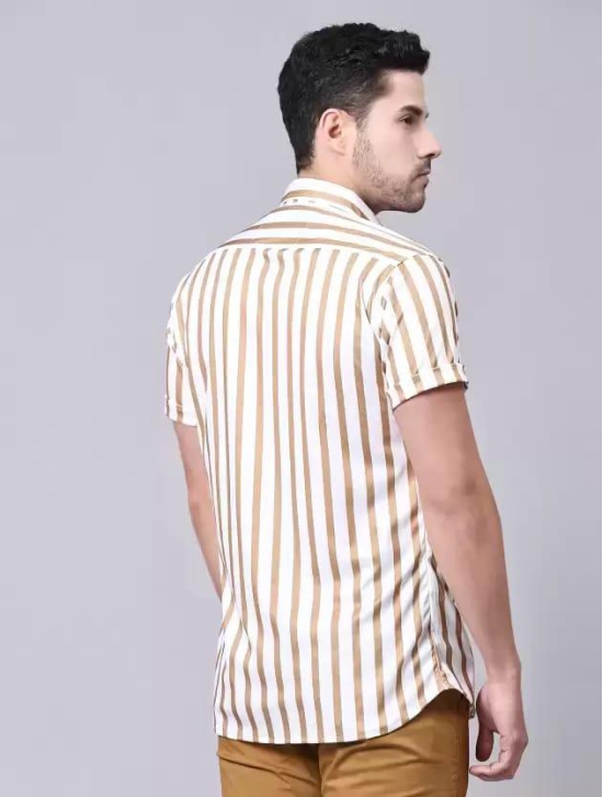 Men Regular Fit Striped Casual Shirt