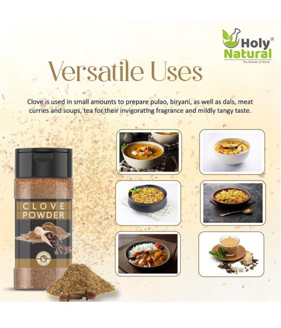 Holy Natural Clove Powder Masala 100 gm