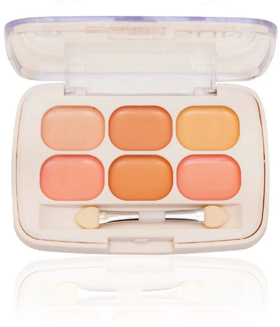 Colors Queen Sun Glow Real Makeup Base Concealer (Shade - 01)